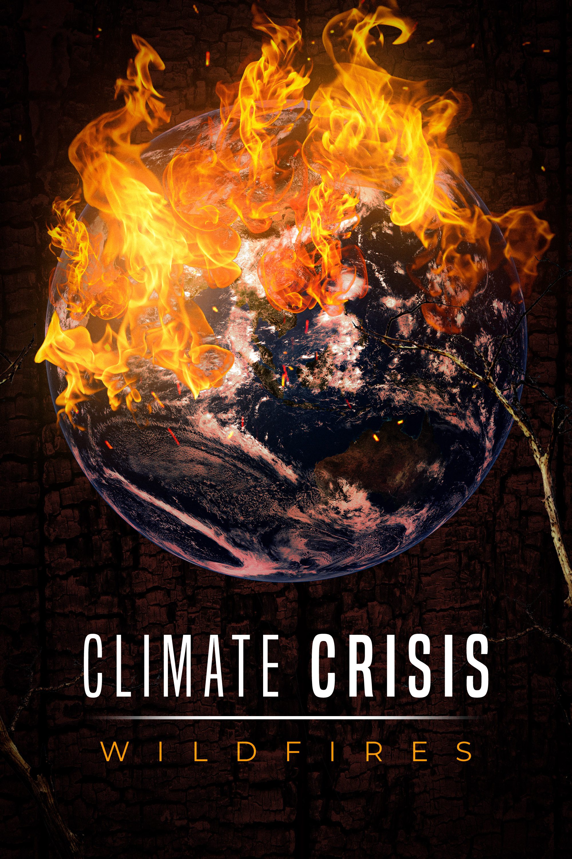     Climate Crisis: Wildfires